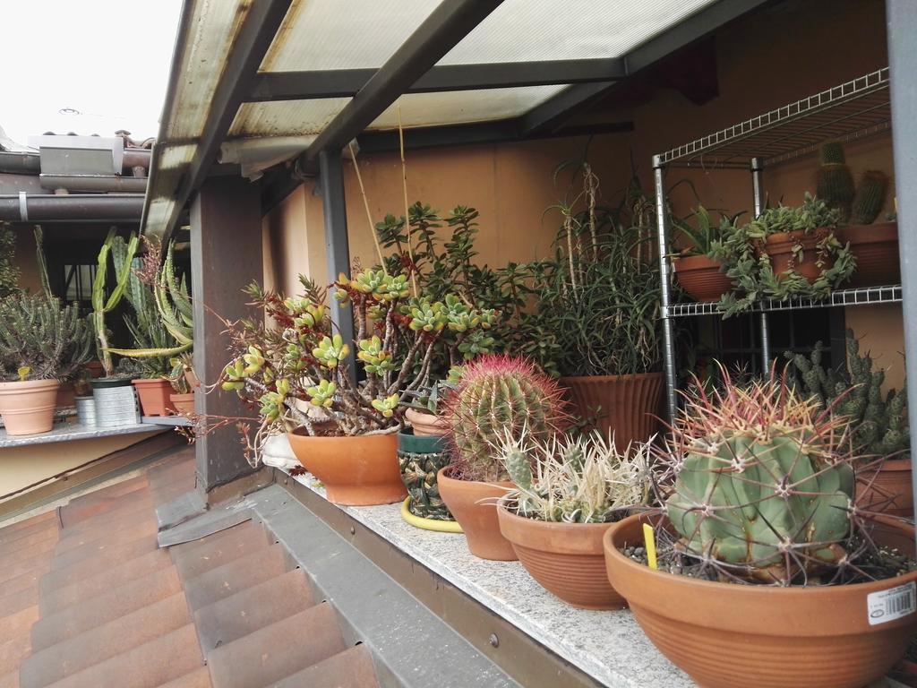 A Casa Di Gio Bed & Breakfast Torino Eksteriør bilde